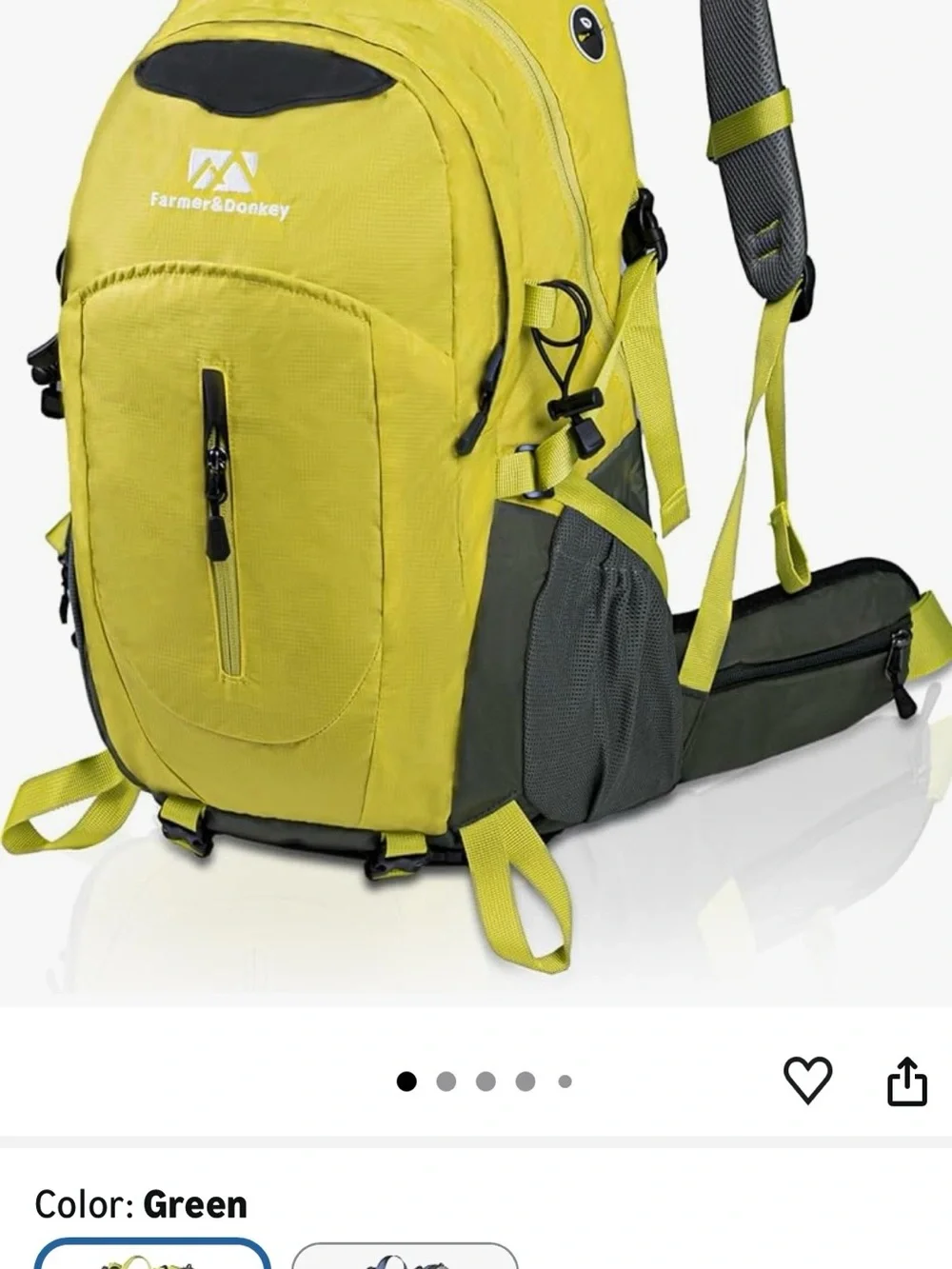 Farmer & Donkey Men's Lime green Backpack - NWT